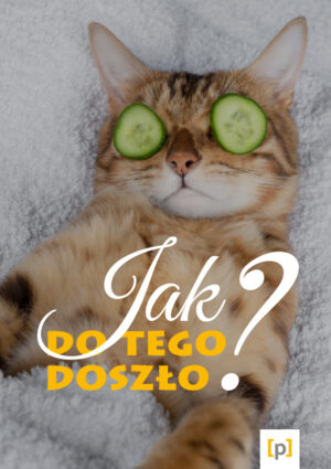 Jak do tego doszło? (e-book)
